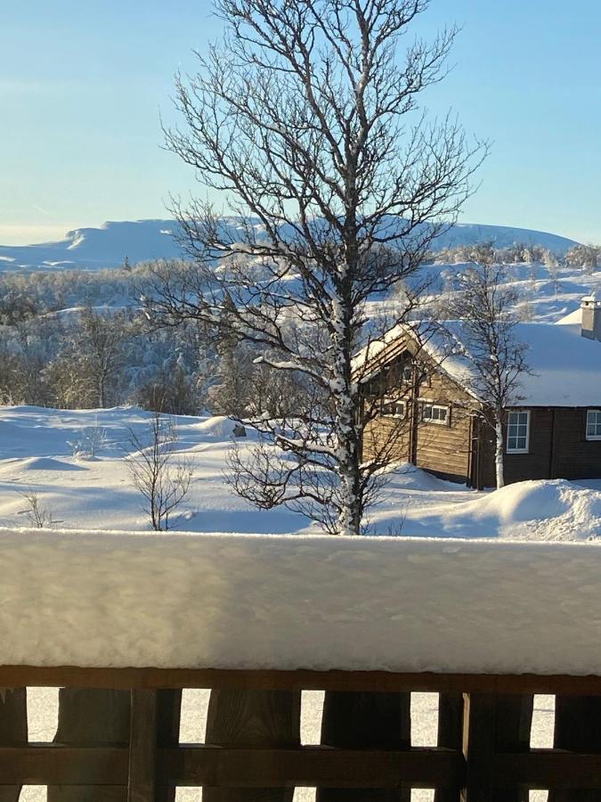 Storemyr By Norgesbooking - Cabin With Amazing View Myro Kültér fotó